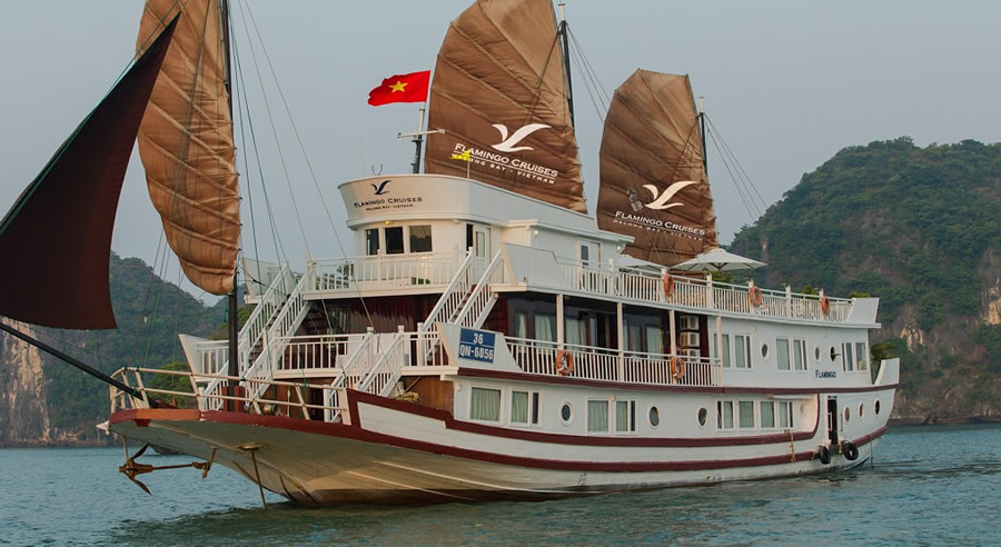 Flamingo Cruise